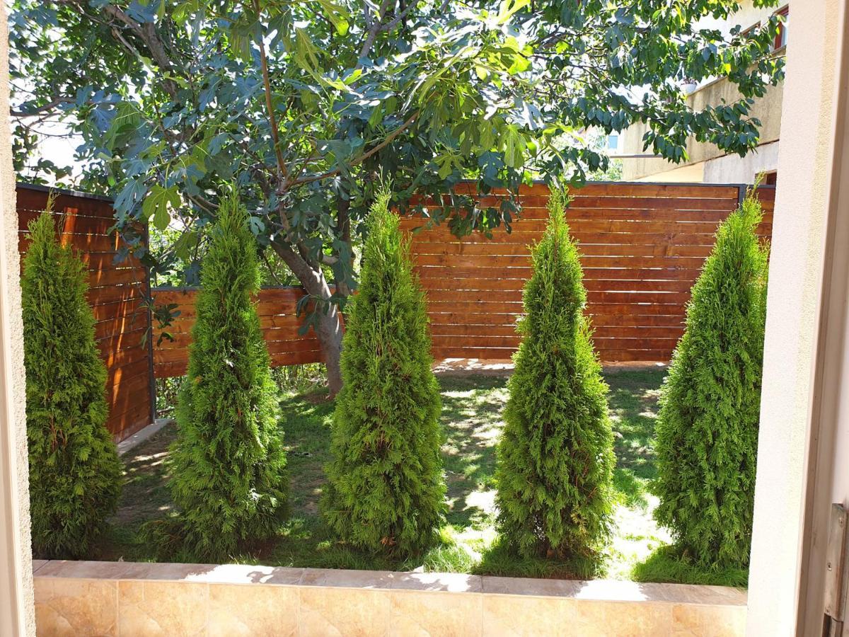 Kuca Ema Villa Belgrad Exterior foto